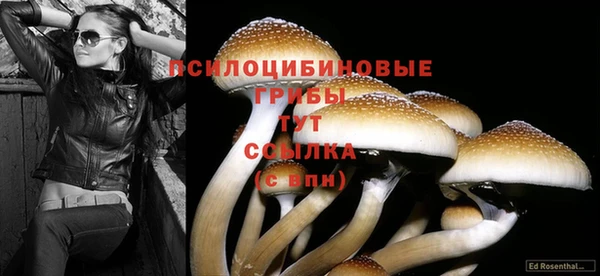 синтетический гашиш Осташков
