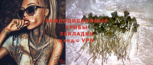 а пвп мука Осинники