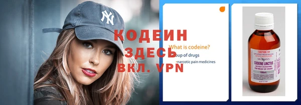 хмурый Болотное